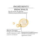 Beauty of Joseon - Sérum régénérant : ginseng + bave d'escargot - 30 ml