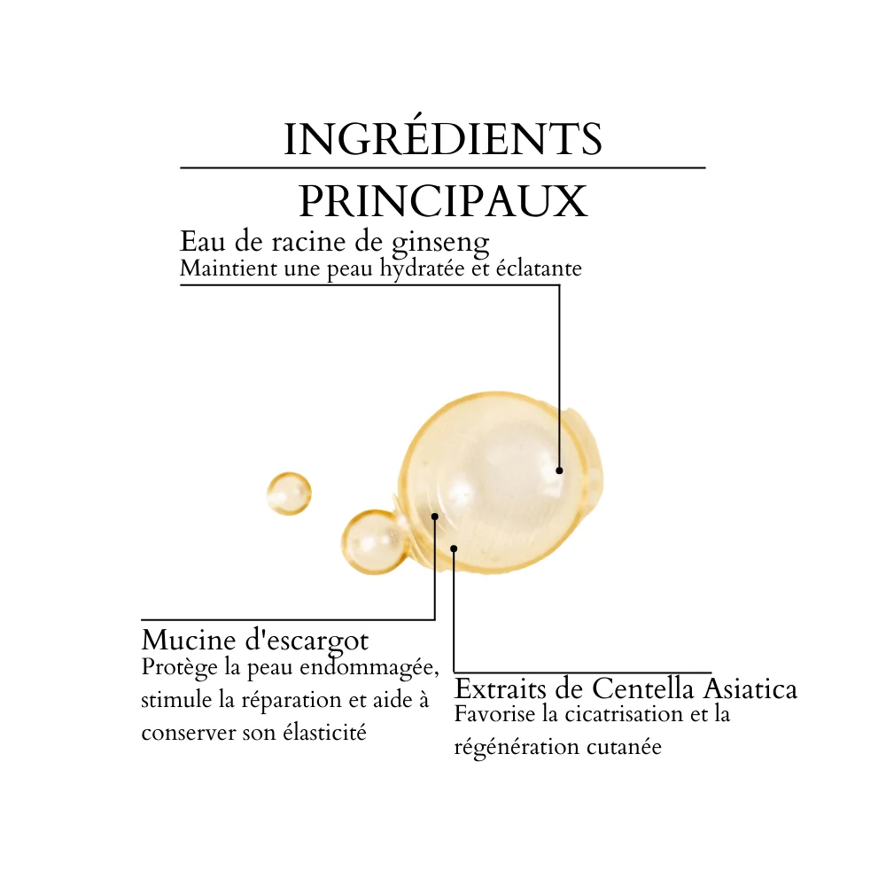 Beauty of Joseon - Sérum régénérant : ginseng + bave d'escargot - 30 ml