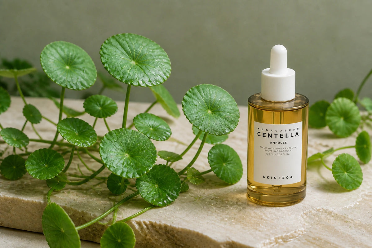 Centella asiatica : l’alliée des peaux sensibles